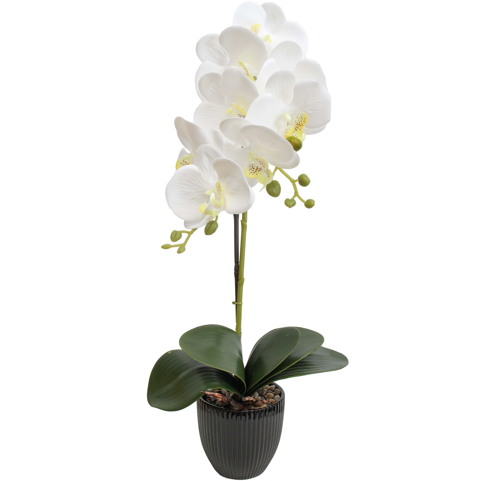 Faux Orchid Single White