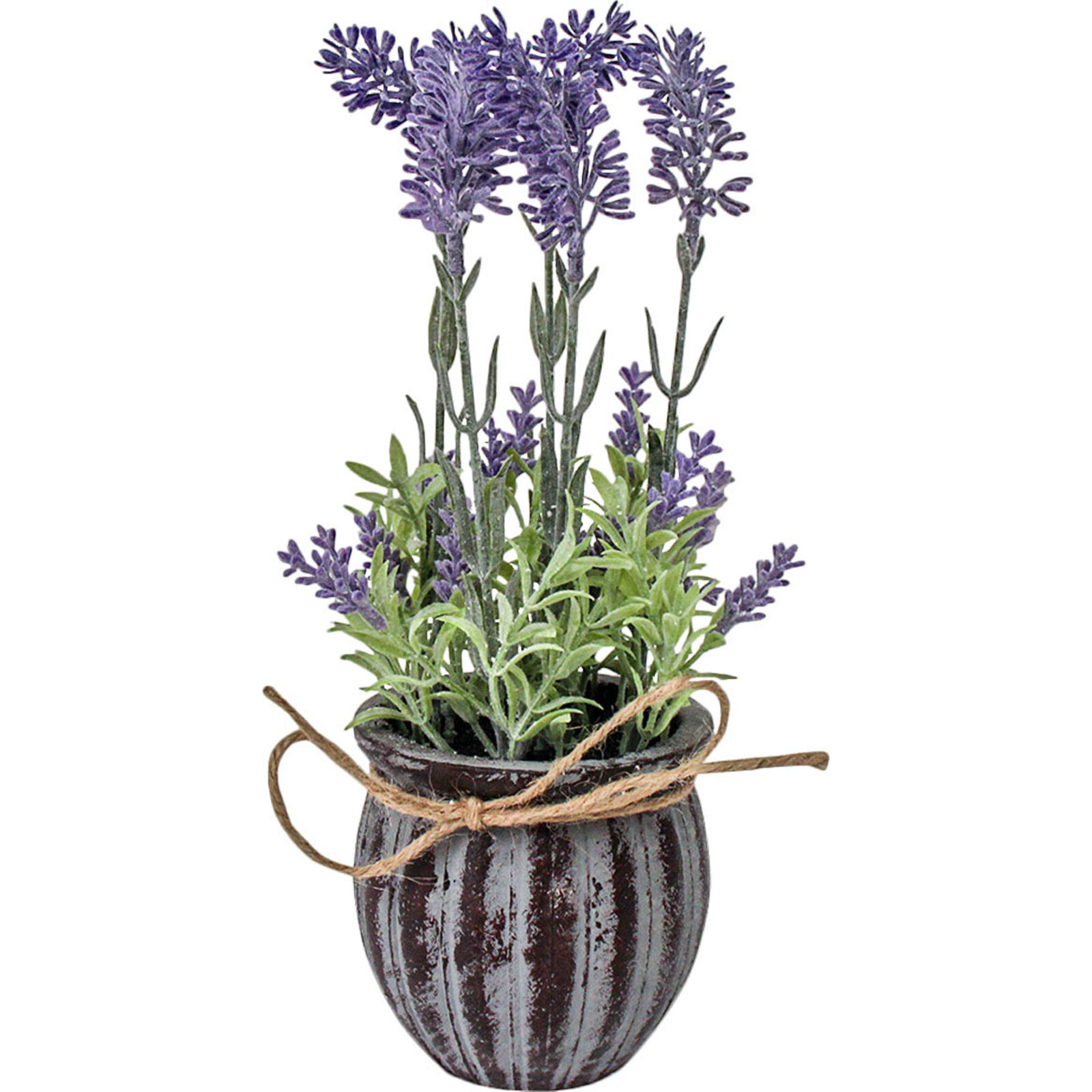 Lavender Ribb Pot
